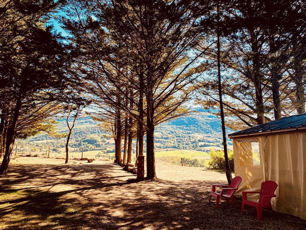 Tithome sous les arbres