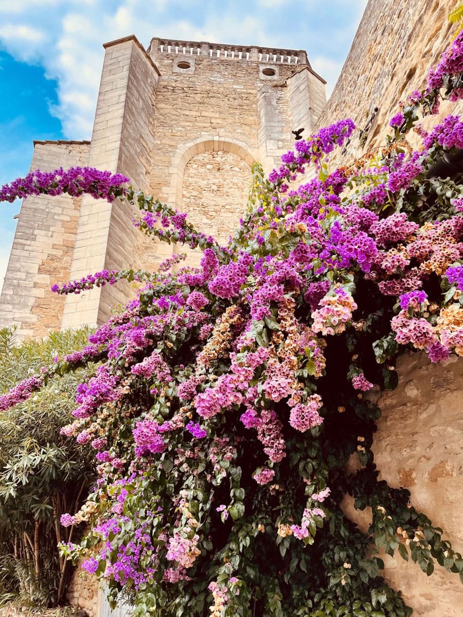 Village de Grignan en Drôme Provençale