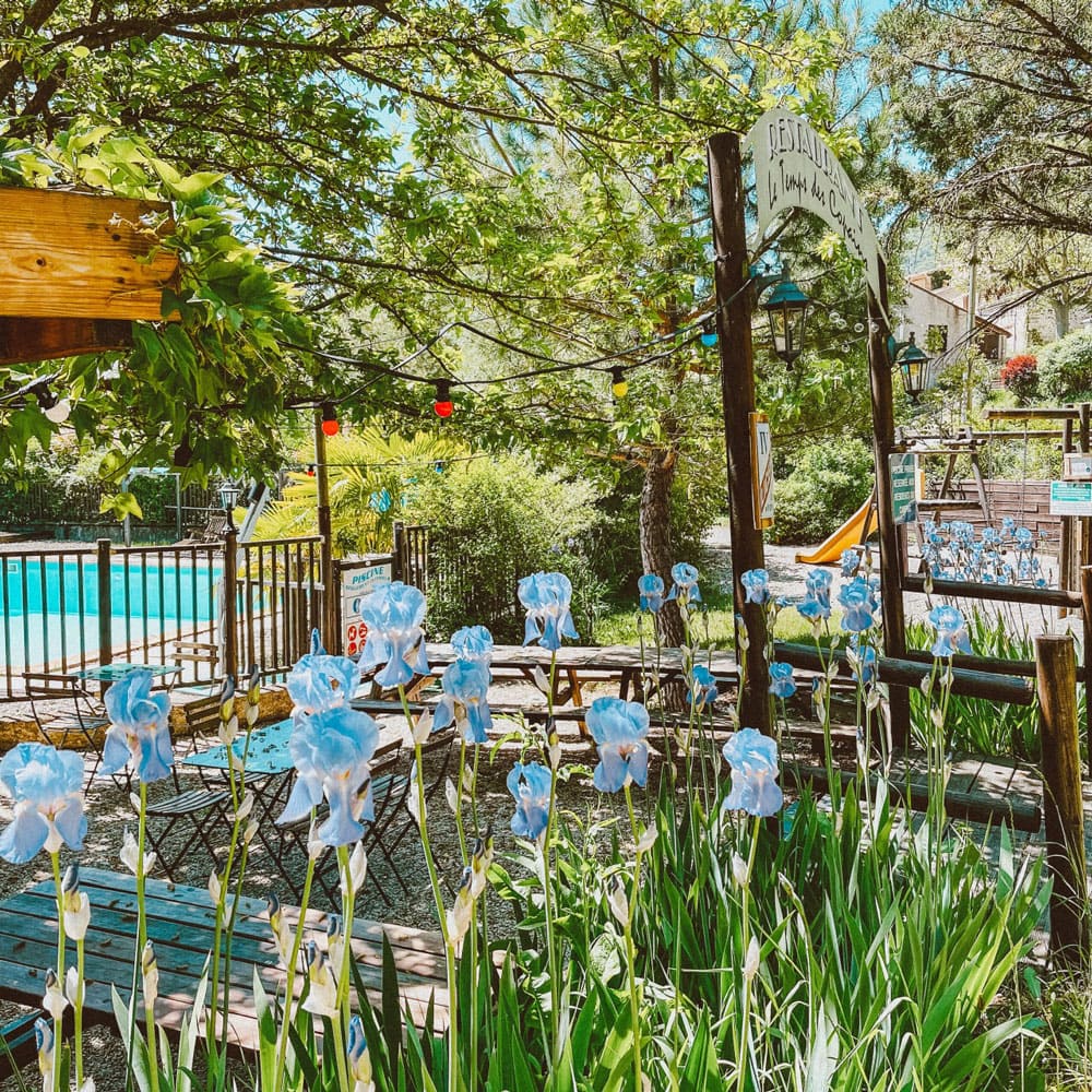 Terrasse ombragée du camping