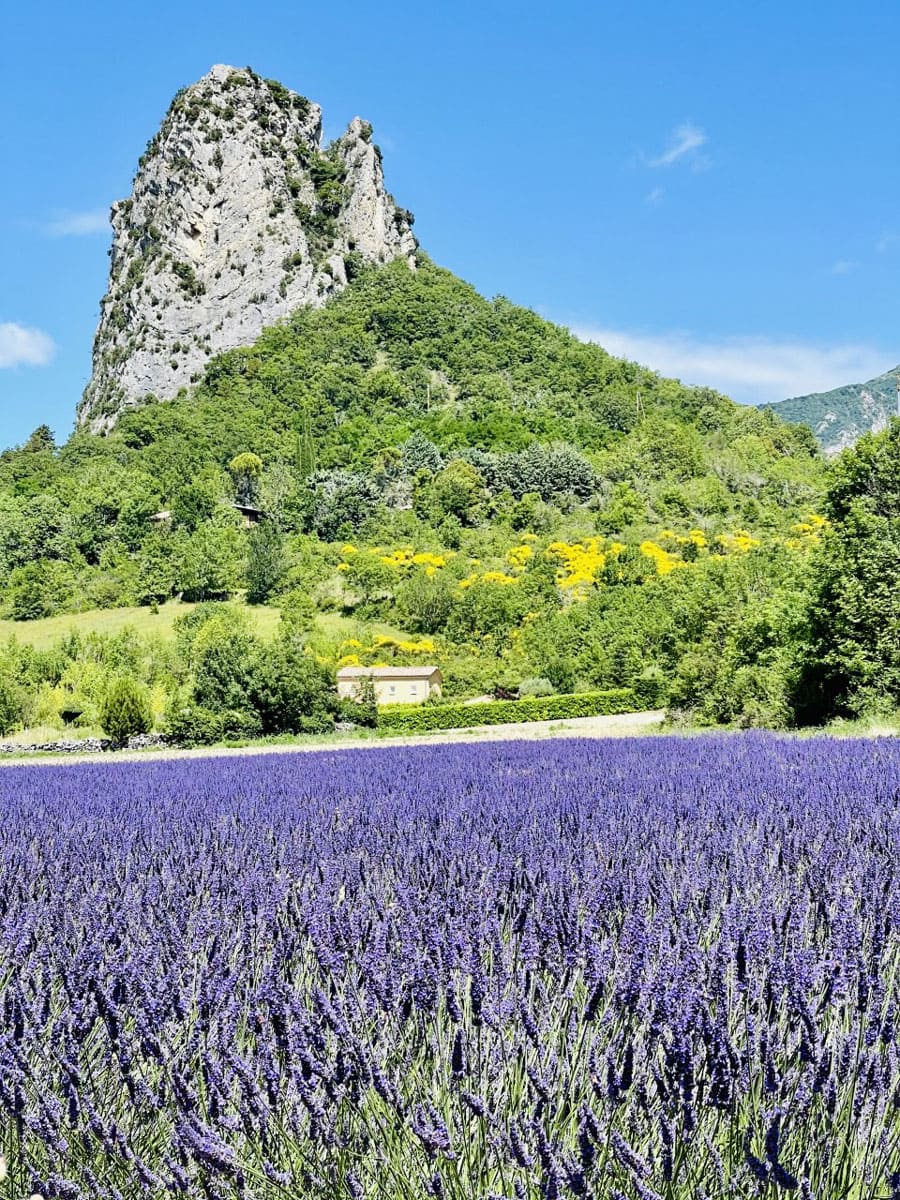 Paysage de la Drôme